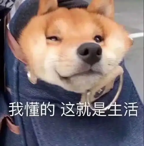 平安和友邦的重疾险保什么可靠谱吗适合什么人买好呢全面测评对比