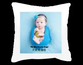 天使爱搞怪照片可替换双面定制抱枕微信