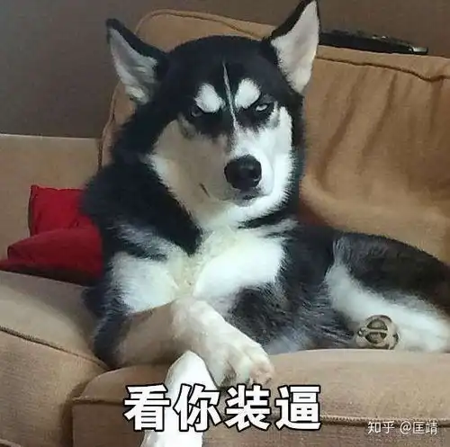 有哪些打死也想不到的国货跨界组合