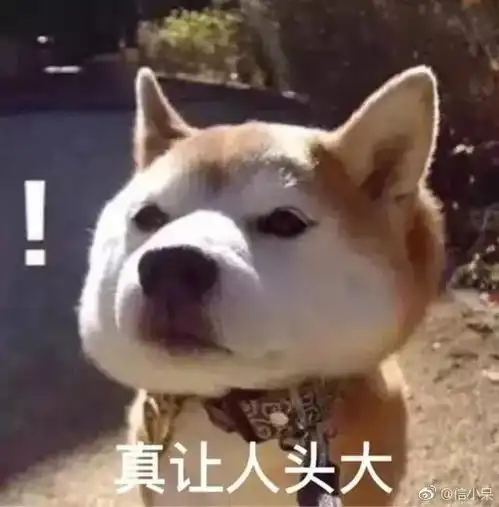 沙雕又可爱的表情包,你不点进来看看,都对不起你可爱的亚子