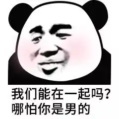 撩人熊猫头