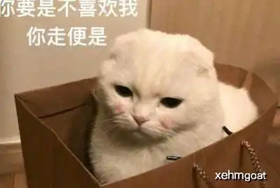 幽默段子老妈为了让我相亲,已经不分男女了