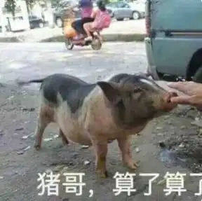 烂大街表情包下载网上超火的烂大街表情包搞笑图片高清无水印免费分享下载v1.0安族软件网