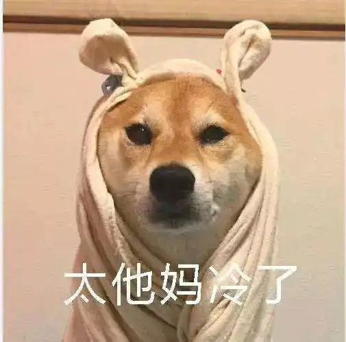 冬天做个精致的猪猪女孩有多难