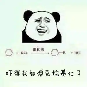 搞笑斗图表情包,这是最新款的帽子,最适合你