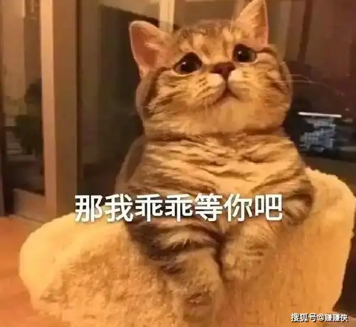 热门表情包图片生气气,下线了,有事打钱