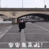 北方瑞鹏比亚迪滑雪活动,火热招募中