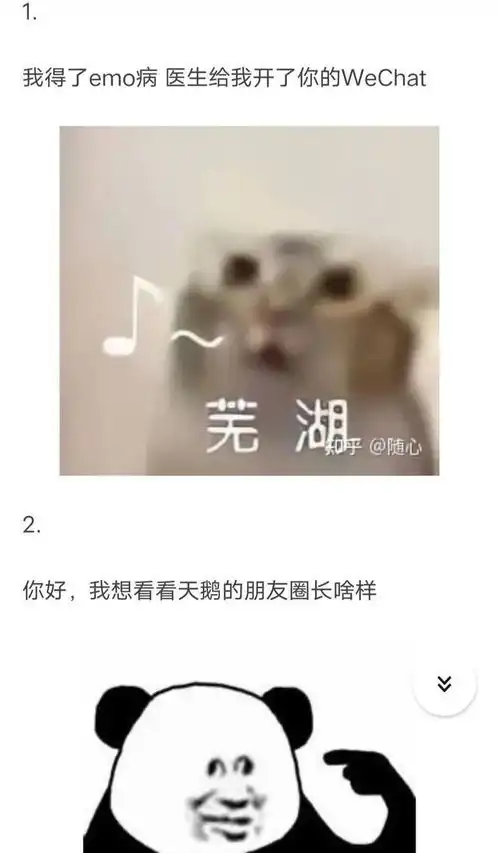 有哪些让emo的人看了会开心的沙雕文案哈哈哈