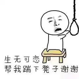 小乌龟视频直播全集小乌龟资料大全yy官方