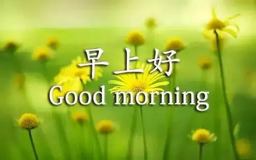 特别暖心很漂亮的早上好祝福语动态图,漂亮鲜花清晨问候语动态表情图片温馨带字
