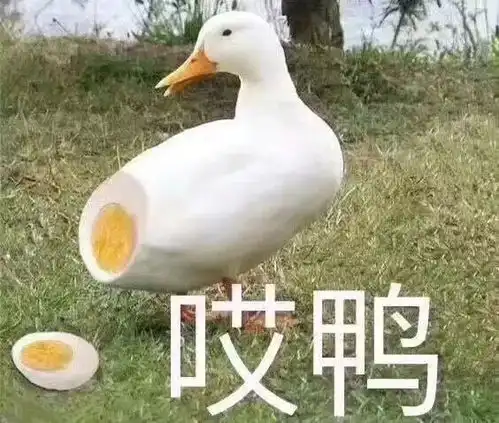 加油表情包搞笑亲我