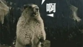 测试一个超长简介的文章