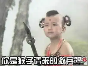 猴年来啦西游记搞笑表情包4搞笑女人说图集