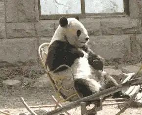 搞笑图片大姐,骑个动感单车就不要这么妖娆了,你是来健身的不是来撩汉子的