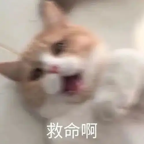 表情包丨表情包大全搞笑动图沙雕