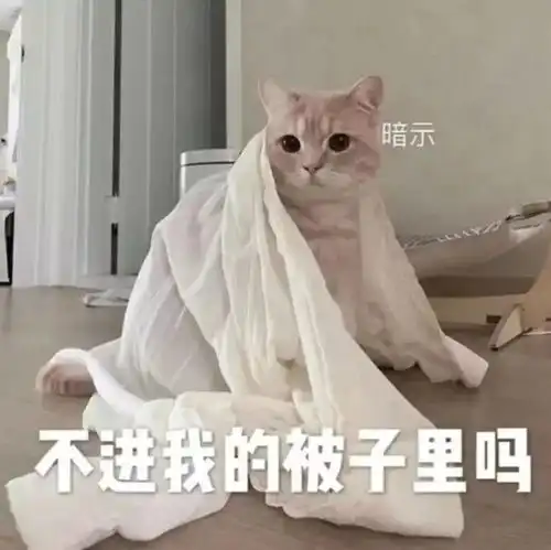 萌宠表情包不进我的被子里吗