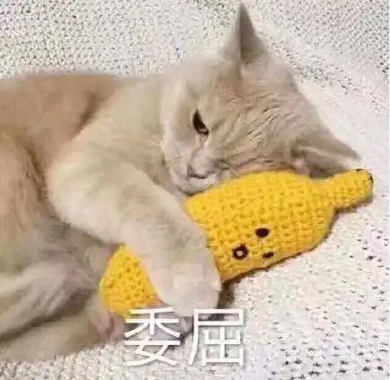 爆笑gif动图姐,我手机没钱了,给我充100吧