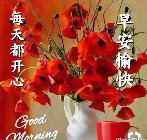 最新版朋友圈清晨早上好正能量问候语祝福图片表情动态