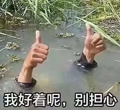 不管怎么说这都是选秀学历再高履历再好也得符合...