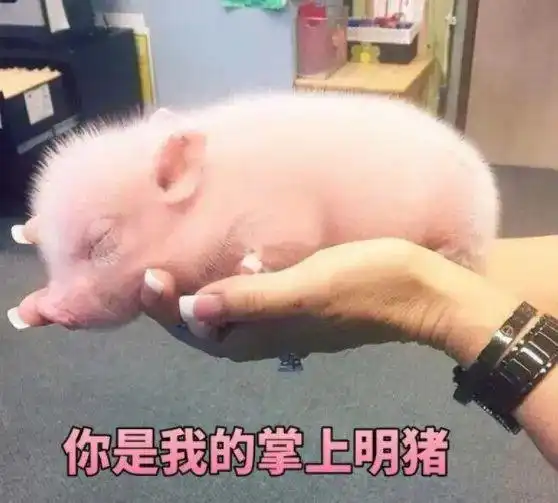 测试一个超长简介的文章