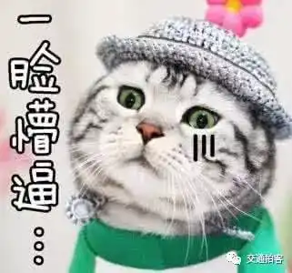 喂,110吗我碰掉了车牌上的数字,要赔吗