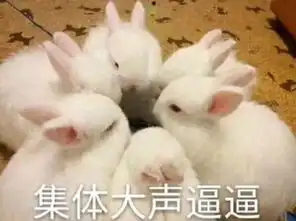 上海一鬼屋开业,大热天忽悠网友排队造势,被网友狂骂