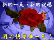 2019最新早晨好表情包,早晨祝福图片大全