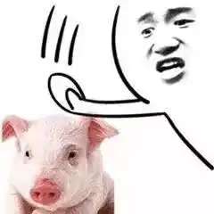 给父母发表情包是一种怎样的体验