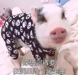 当代年轻人的养生方式,说的是你吗