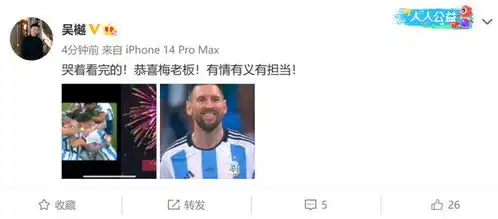 阿根廷夺冠梅西封神圆梦,明星纷纷发文庆贺,苏醒马思纯激动哭