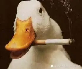 搞笑gif趣图我的心在等待,永远在等待,永远在等待