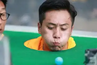 行走的表情包爸哪3桌球赛刘烨包子脸吹球