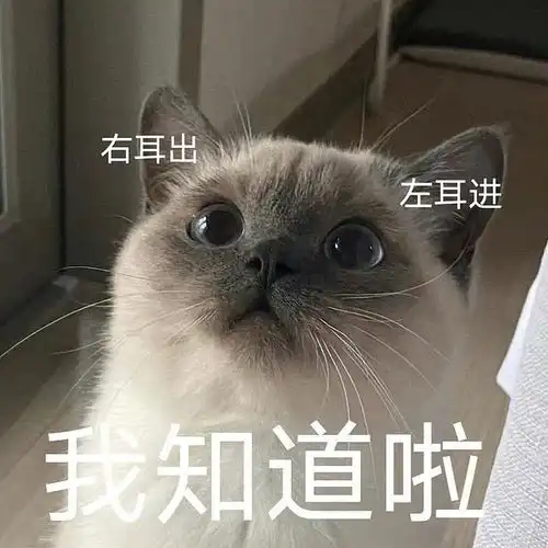 蛋友贴图专版