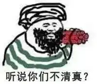 可以这很清真这个网络新梗简直就是丧心病狂