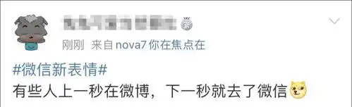 热点热搜第一微信表情上新,网友这个好像在哪见过...