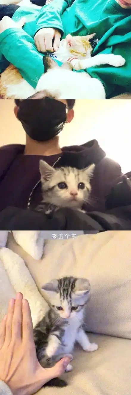 测试一个超长简介的文章