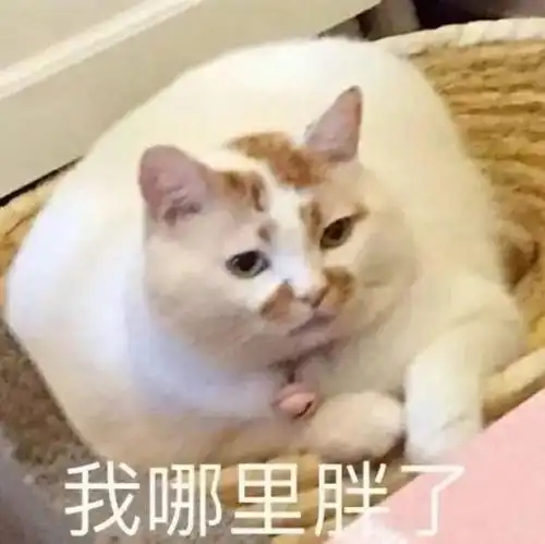 用了这些表情包,才能时尚时尚最时尚