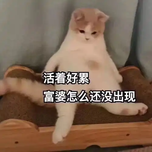 2018世界杯伪球迷生存指南