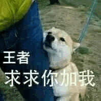大家带我上王者qq表情包带我上王者表情包