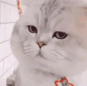 你当我小青蛙不会发怒吗