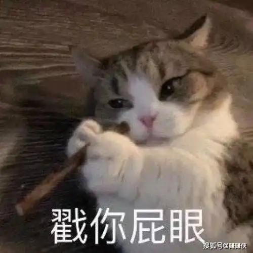 搞笑表情包图片真快乐,爽到了