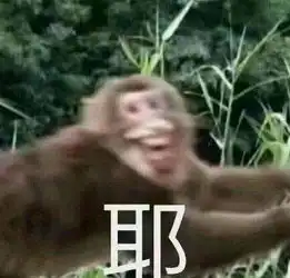 栅栏受损猴子逍遥怎么回事,栅栏受损猴子逍遥什么意思