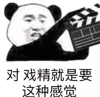 沙雕女孩的生活是什么样的