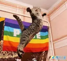 超萌动物搞怪表情秀