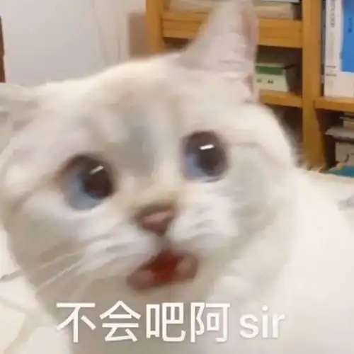 沙雕表情包兄弟,来劲了