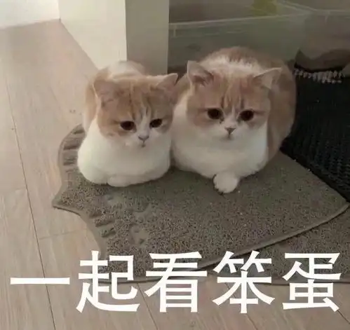 今日搞笑表情包11.2