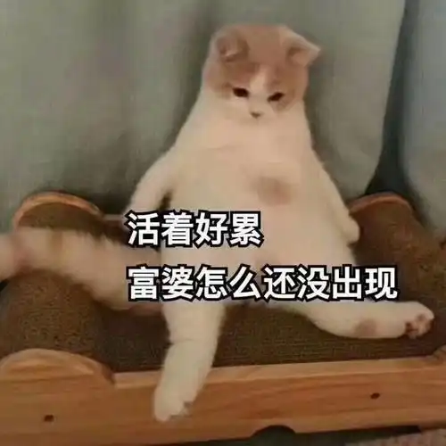 中信通集团马云称年轻人怕压力就白活了