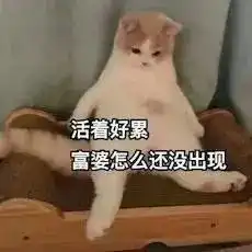 猫咪表情包宝,你实在过分冷漠,泪已打湿我的世界