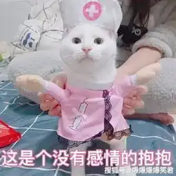 爆笑段子哥们开了一个大公司,还被央视晚会邀请