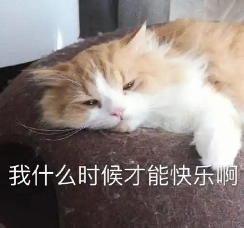 申请加入你的被窝